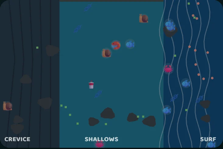 Close-up of the crevice, shallows and surf